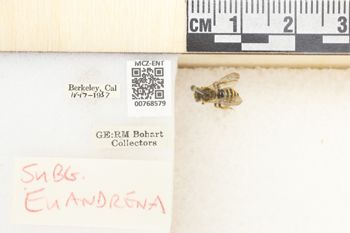 Media type: image;   Entomology 768579 Aspect: Labels